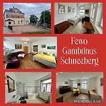 Gambrinus Διαμέρισμα *